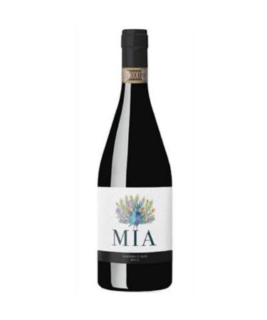 Pico Maccario'Mia' Barbera d'Asti DOCG 2023 (per dozen) 